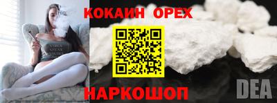молекула духа Будённовск