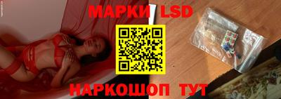 молекула духа Будённовск