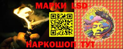молекула духа Будённовск