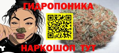 молекула духа Будённовск