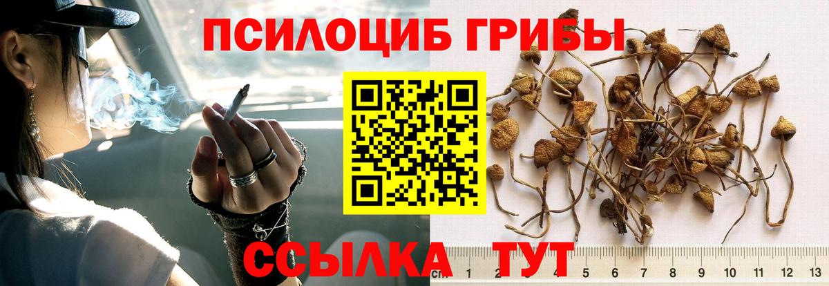 Галлюциногенные грибы Magic Shrooms  где можно купить наркотик  Вход с VPN  Щёкино  Псилоцибиновые грибы мицелий 